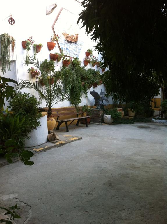 Patio Das Flores Ferreira Do Alentejo Exteriör bild