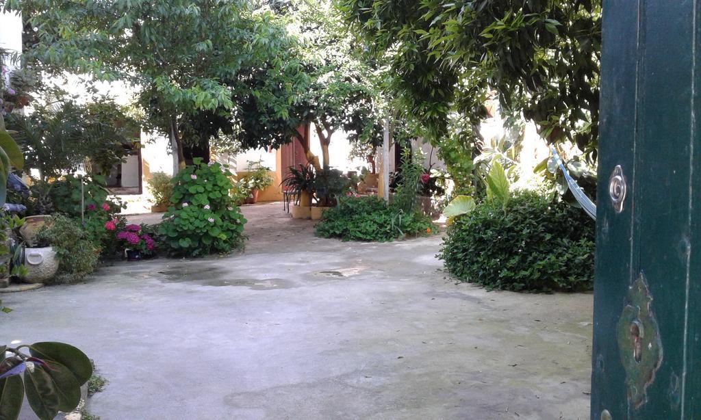 Patio Das Flores Ferreira Do Alentejo Exteriör bild