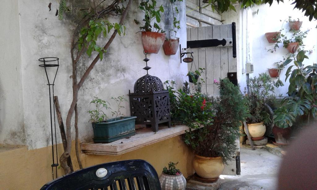 Patio Das Flores Ferreira Do Alentejo Exteriör bild