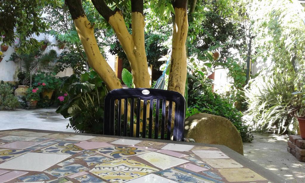 Patio Das Flores Ferreira Do Alentejo Exteriör bild
