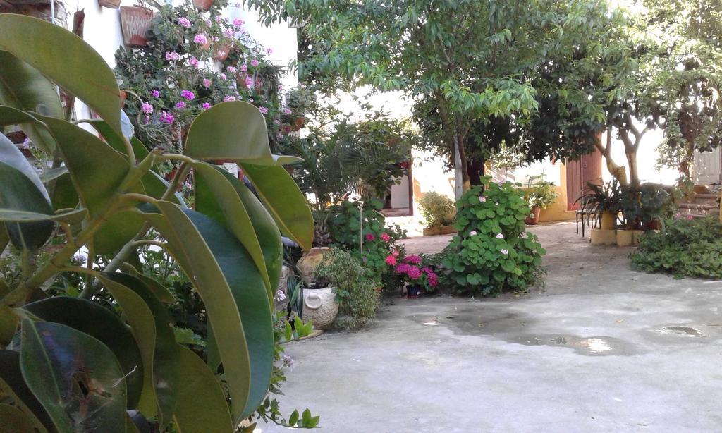 Patio Das Flores Ferreira Do Alentejo Exteriör bild