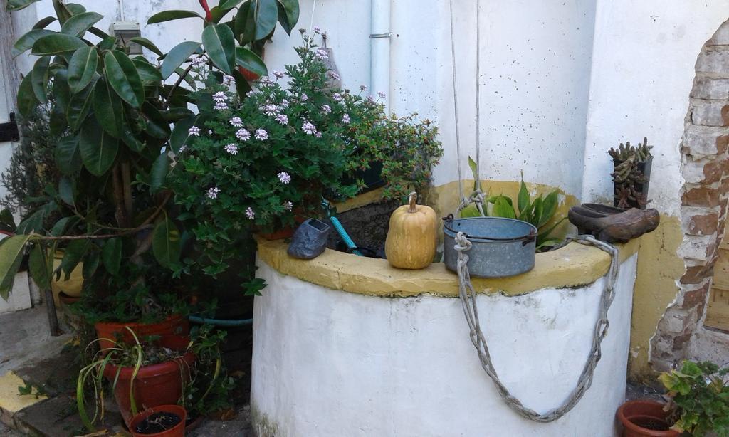 Patio Das Flores Ferreira Do Alentejo Exteriör bild